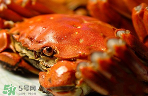 三月份吃什么螃蟹？3月份吃什么螃蟹？