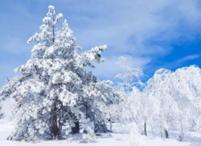 三月份還會下雪嗎？哈爾濱三月份還有雪嗎？