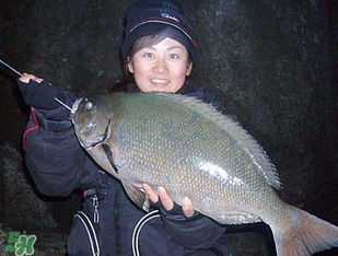 3月份釣魚用什么餌料？三月份釣魚用什么魚餌？