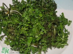 薺菜怎么洗？薺菜怎么洗才干凈？