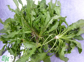 薺菜怎么保鮮？新鮮薺菜如何保鮮？