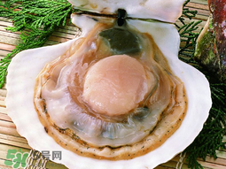 薺菜和扇貝可以一起吃嗎？薺菜扇貝湯的做法