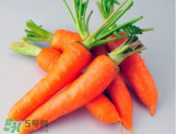 薺菜能和胡蘿卜一起吃嗎？薺菜可以和胡蘿卜一起吃嗎？
