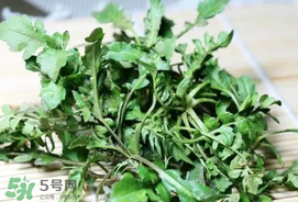 薺菜能和青菜一起吃嗎？薺菜和青菜一起吃好嗎？
