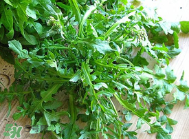 薺菜上有白點(diǎn)能吃嗎？薺菜背面有白點(diǎn)是什么？