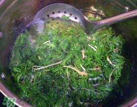 薺菜怎么焯水？薺菜焯水多久？