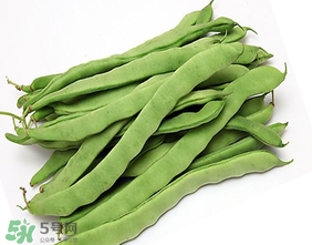 三月份可以種豆角嗎？豆角幾月份種？