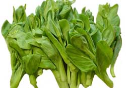 青菜苔可以吃嗎？青菜苔怎么做好吃？