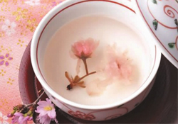 桃花酒孕婦可以喝嗎？懷孕了能喝桃花酒嗎？