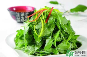 薺菜不能和什么一起吃？薺菜和什么相克？