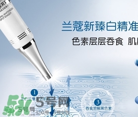 蘭蔻精華乳多少錢？蘭蔻臻白精華乳專柜價格