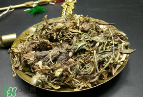 干的蒲公英多少錢一斤？蒲公英多少錢一斤干的？