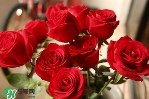 什么東西清火效果好？什么東西清火最快？
