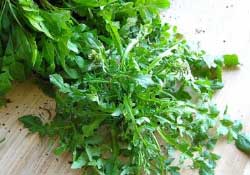 薺菜不能和什么一起吃？薺菜和什么相克？