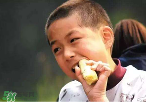 春天能吃甘蔗嗎？春天吃甘蔗有什么好處？