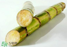 春天能吃甘蔗嗎？春天吃甘蔗有什么好處？