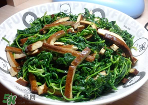 薺菜吃多了會中毒嗎？吃薺菜中毒怎么辦？