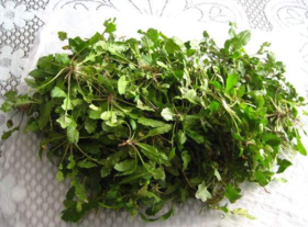 野生薺菜幾月份有？野生薺菜什么時候有？