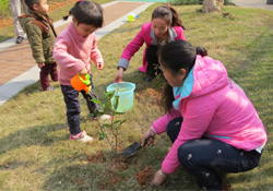 植樹(shù)節(jié)一般種什么樹(shù)？植樹(shù)節(jié)種什么樹(shù)比較好？