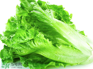 春天能種生菜嗎？生菜春天可以種嗎？