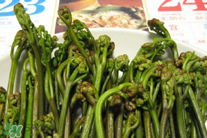 蕨菜為什么苦？蕨菜苦是怎么回事？