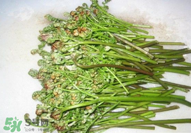 蕨菜怎么去苦味？蕨菜怎么做不苦？