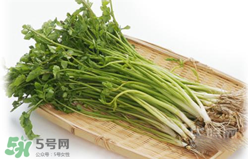 吃野芹菜會(huì)中毒嗎？吃野芹菜中毒了怎么辦？