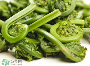 蕨菜怎么洗？蕨菜怎么清洗才干凈？