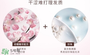 淳萃水舞櫻花護發(fā)素多少錢？淳萃水舞櫻花護發(fā)素價格