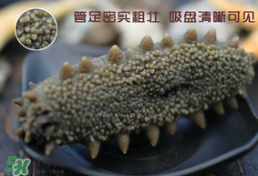 春天能吃海參嗎？春天吃海參效果好嗎？