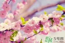 春天容易得水痘嗎？春天是水痘的高發(fā)季節(jié)嗎？