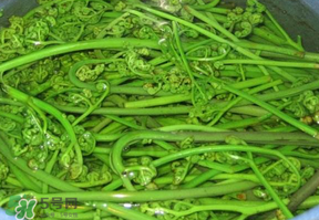 蕨菜怎么洗？蕨菜怎么清洗才干凈？