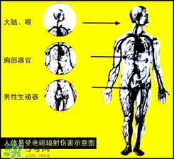 防輻射服什么時候開始穿？防輻射服真的有用嗎？