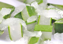 出水痘能用蘆薈膠嗎？水痘破了能擦蘆薈膠嗎？