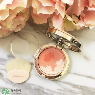 雪花秀花瓣腮紅多少錢(qián)？雪花秀花瓣腮紅專(zhuān)柜價(jià)格