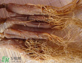 春天能吃紅參嗎？春天可以吃紅參嗎？