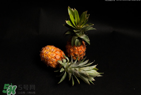 春天可以吃菠蘿嗎？春天吃菠蘿有什么好處？