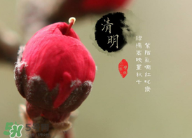 清明節(jié)為什么要吃清明果？為什么清明節(jié)要吃清明果？