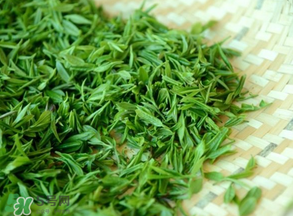 清明茶什么時(shí)候采？采清明茶什么時(shí)候結(jié)束？