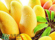 什么人不能吃芒果？哪些人不能吃芒果？