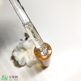 嬌蘭黃金蜜原蜜怎么用？嬌蘭黃金蜜原蜜使用方法