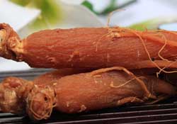 春天能吃紅參嗎？春天可以吃紅參嗎？