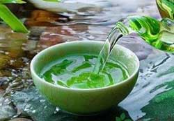 清明茶什么時候采？采清明茶什么時候結束？