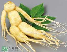 春天能吃高麗參嗎？春天可以喝高麗參湯嗎？