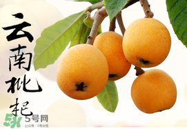 枇杷能放冰箱嗎？枇杷可以放冰箱保存嗎？