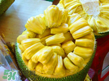 菠蘿蜜的營(yíng)養(yǎng)價(jià)值 吃菠蘿蜜有什么好處？