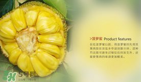 菠蘿蜜和榴蓮的區(qū)別 菠蘿蜜和榴蓮哪個(gè)好吃？