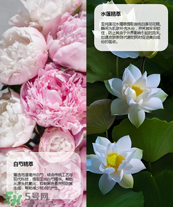 羽西丁一晨限定護(hù)膚品多少錢？羽西丁一晨限定價格