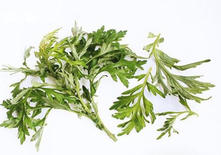 艾草可以治痛經(jīng)嗎？艾草能治月經(jīng)不調(diào)嗎？