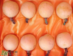 糖尿病能吃枇杷嗎？糖尿病人能吃枇杷嗎？